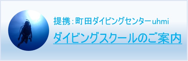 町田ダイビングセンターuhmi